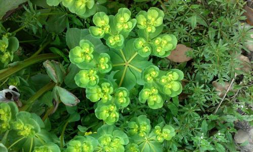 ҳܰ,ʦ͵͵ڿ ϸλǩЭ飿