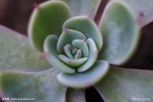 ̨ɽƽңųǾָƱշ